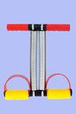 Gym Utility - Double Spring Tummy / Waist Trimmer Ab Exerciser